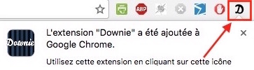 Icone Downie dans Chrome